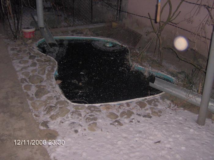 Iazul din curte (iarna); Iazul din curte iarna
