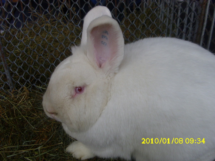 Picture 074