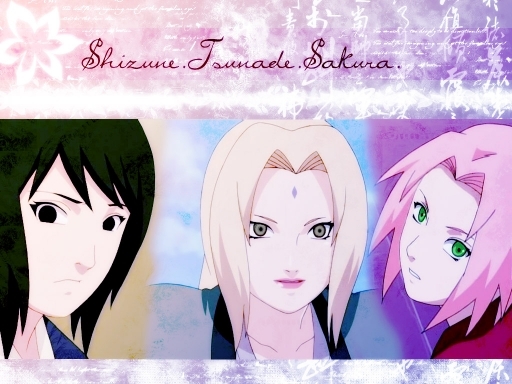 shizune .tsunade. sakura