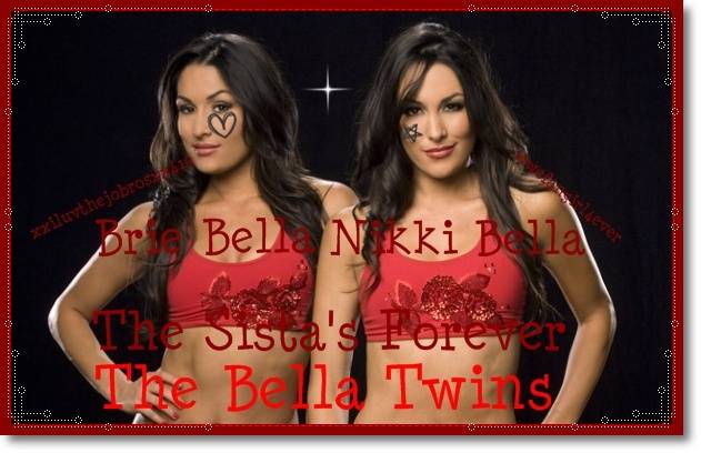 6b_jpg_595-2 - WWE - The Bella Twins