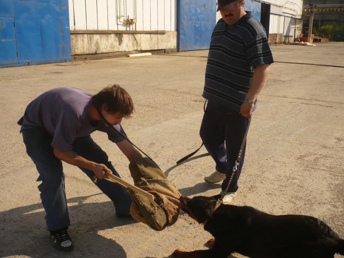 TYRA V HAUSE ONUL(CORA); TRAGE NU GLUMA!!!
