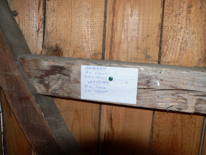 P1040442 - 2009 aprilie manastirile  cetatuia-namaesti-corbi