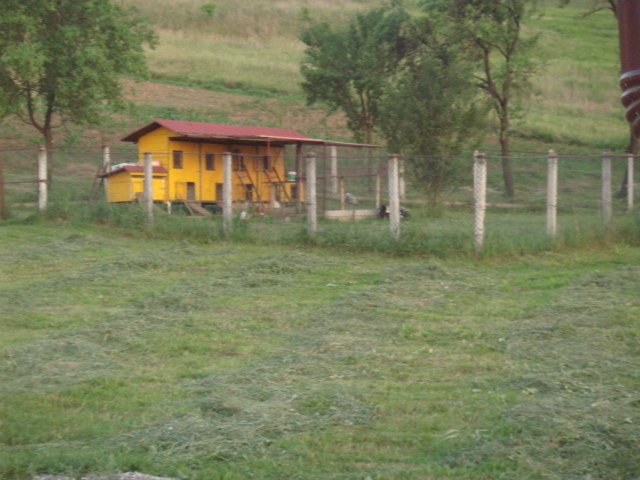 DSC00846