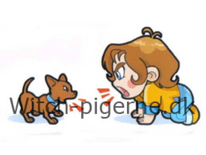 albumf13796n136208[1]