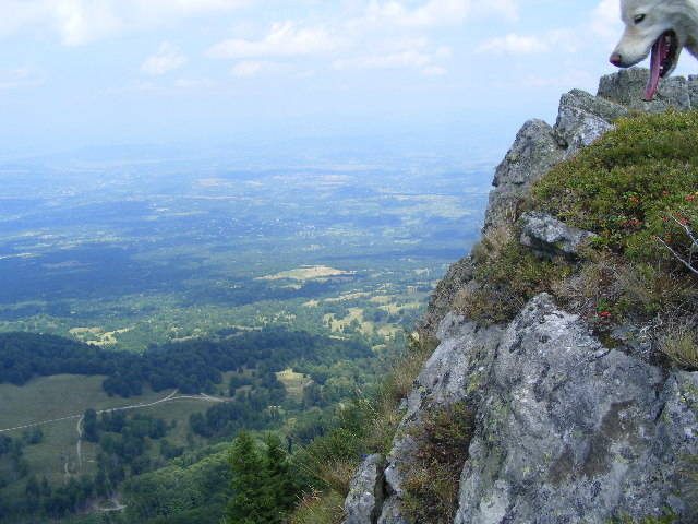 DSCF4267 - 2 august 2009 Traseu Suior Secatura Creasta Cocosului Gutaiul Doamnei  Vf Gutai