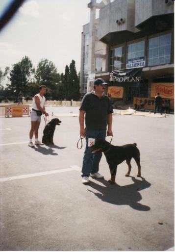 PONGO-PLOIESTI 2003-EXC2 - CAINI-EXPOZITI CANINE