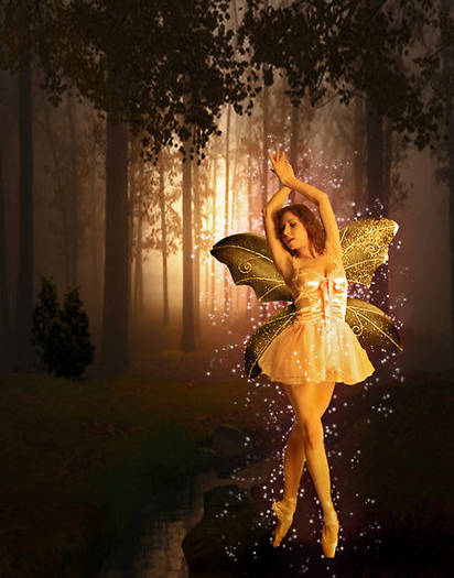 1407830-4-ballerina-fairy - ingeri si zane