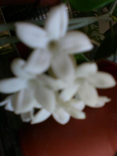 aug 2008 028