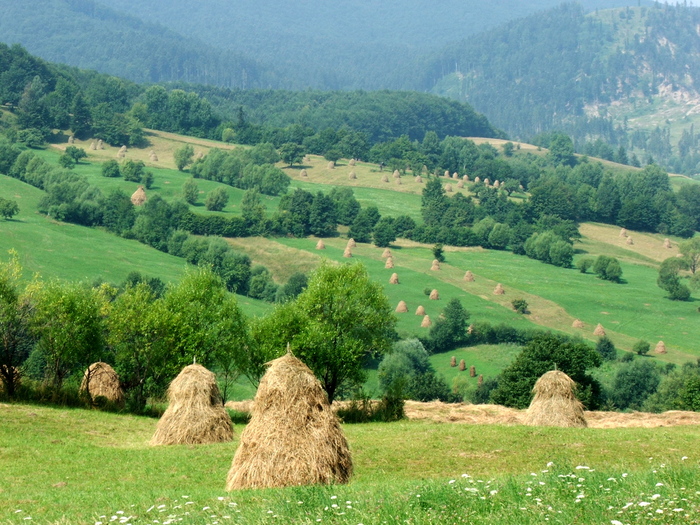 DSCF2229 - peisaje_Bucovina