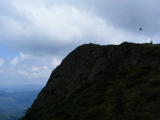 DSCF3071