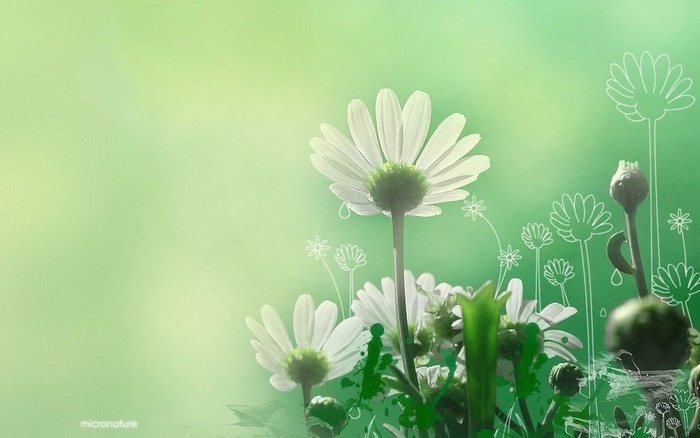 Micro-Nature - 171 - Nature Wallpapers