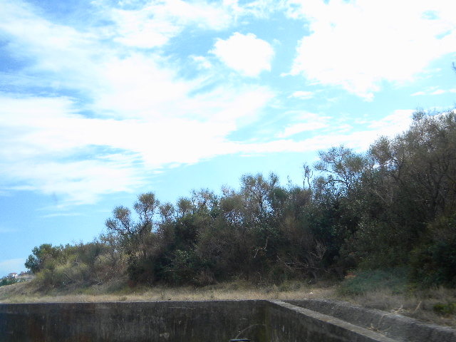DSCN2473