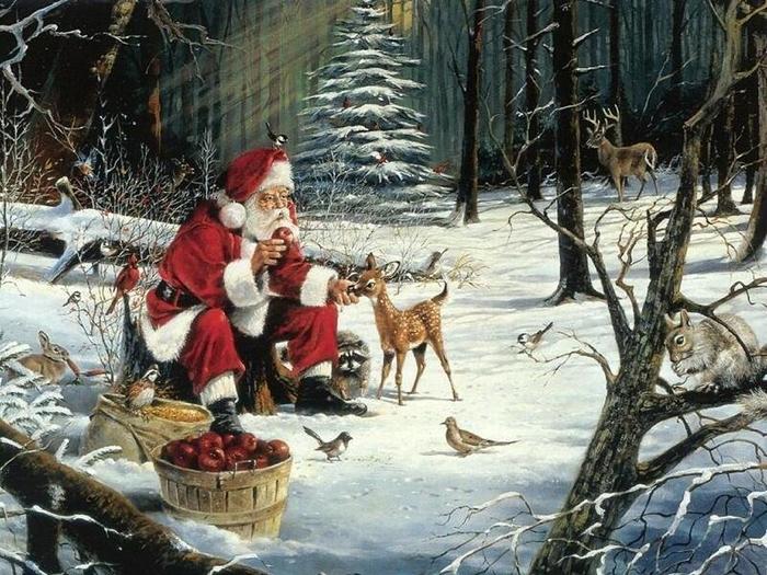 Christmas Wallpapers (222)