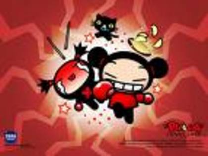 imagesCAX7PZD0 - pucca