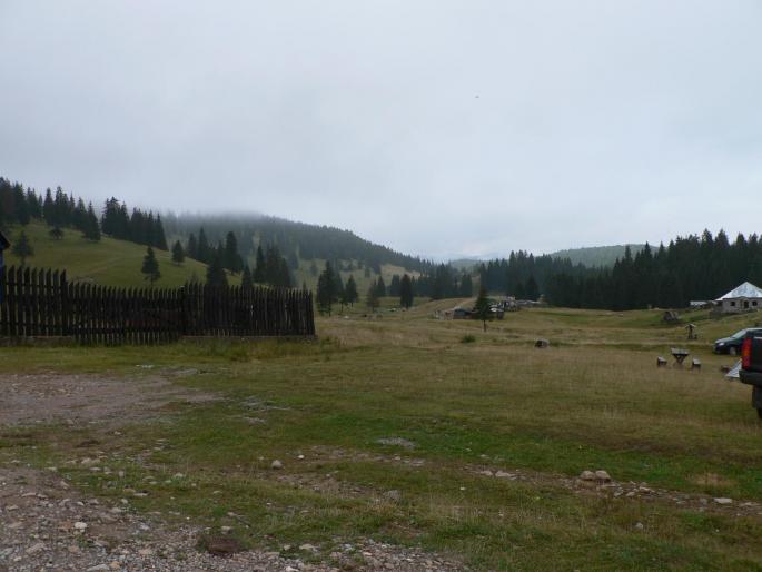 P100067