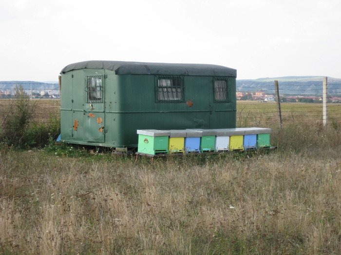 IMG_0132 - Stupina personala in 2009