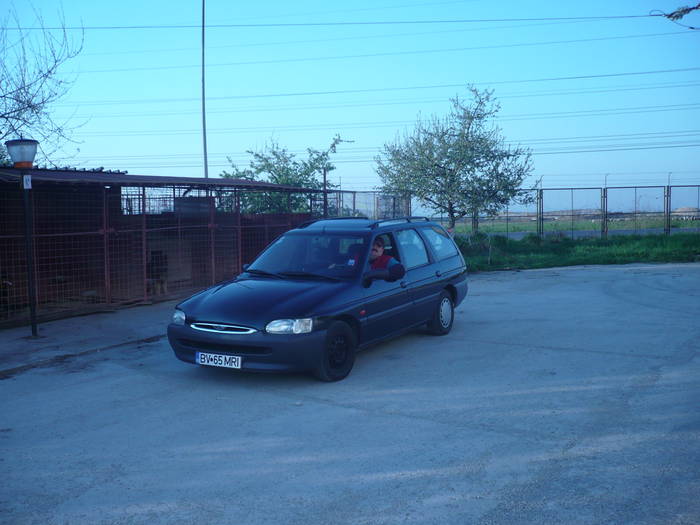 RADU SENIOR SI FURIA VERDE