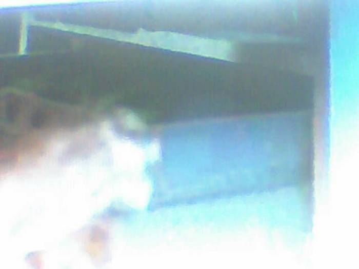 snapshot-416 - Sora lui Cleo Kim