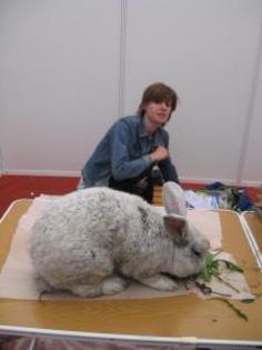 142495mare; Vedeta targului de la Suceava se numeste Scortosu
