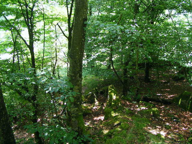 DSCF2583