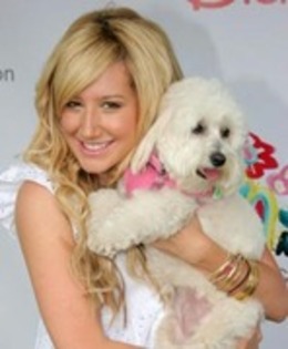 ashley tisdale - concurs 1 incheiat