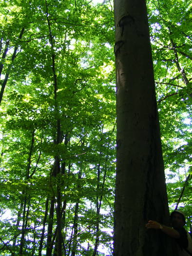 DSCF1086