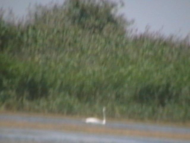 Copy of IMGA0972