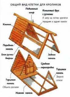 67 - Iepuri - Schite custi iepuri