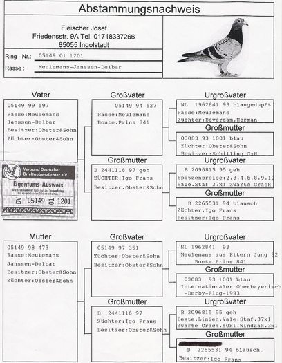 Mulemans-Janssen-Delba DV - Pedigree Matca