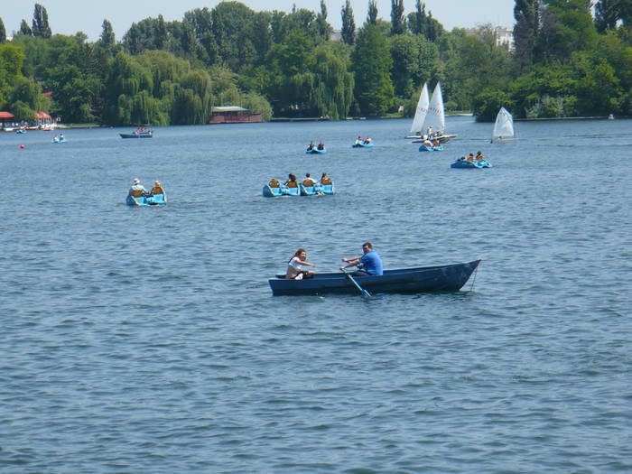 P1110808 - Herastrau 2009 mai 10