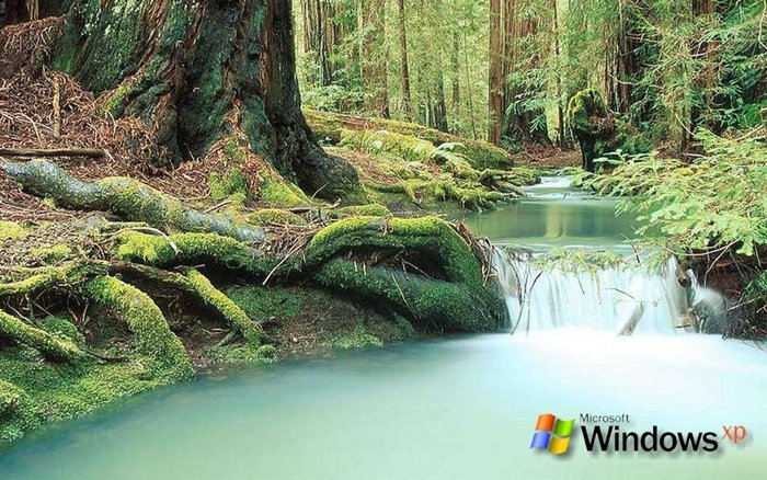 Windows-XP-Nature - 171 - Nature Wallpapers