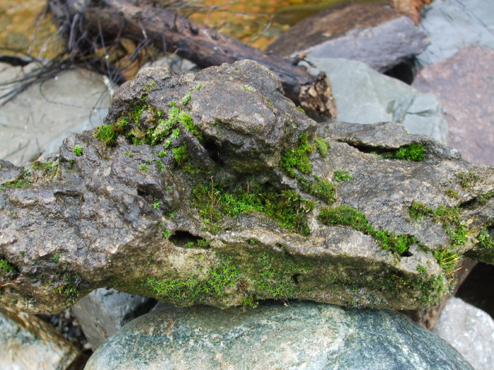 Picture 246 - Amazing rock