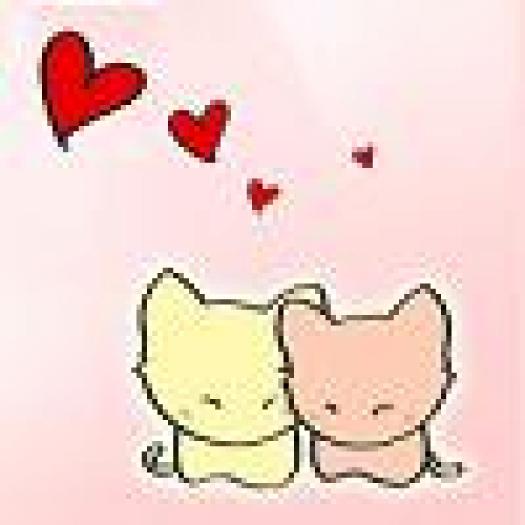 pisicute_indragostite