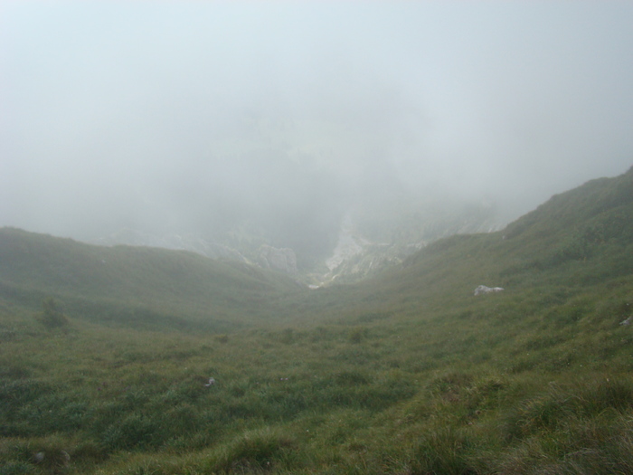 DSC04132 - Piatra Craiului August 2009 Valea Crapaturii