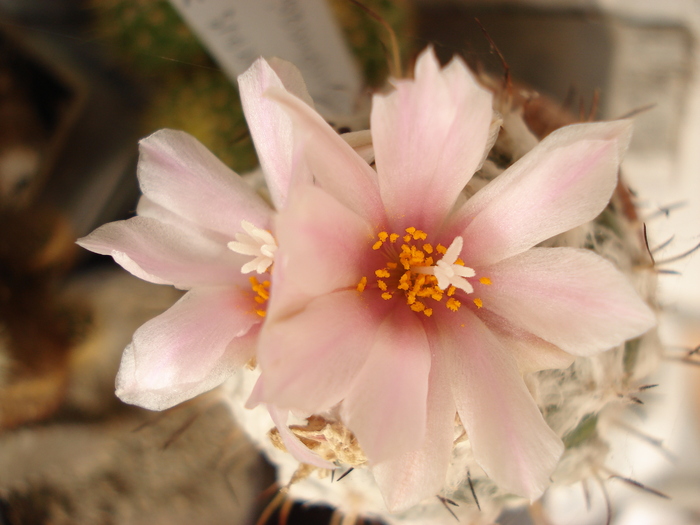 DSC09607