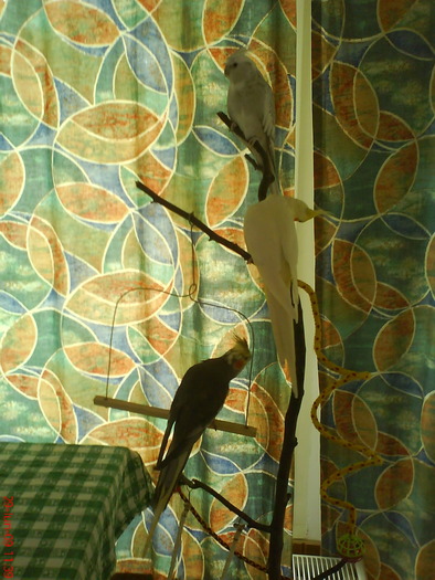 DSC00412
