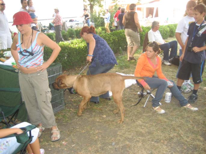 IMG_3357 - EXPO Tg Mures 2008