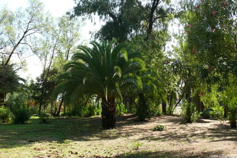 Tunisia_671 - Tunisia