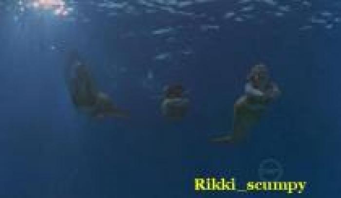GJXGIPKIBRCHGJBROPF - H2o