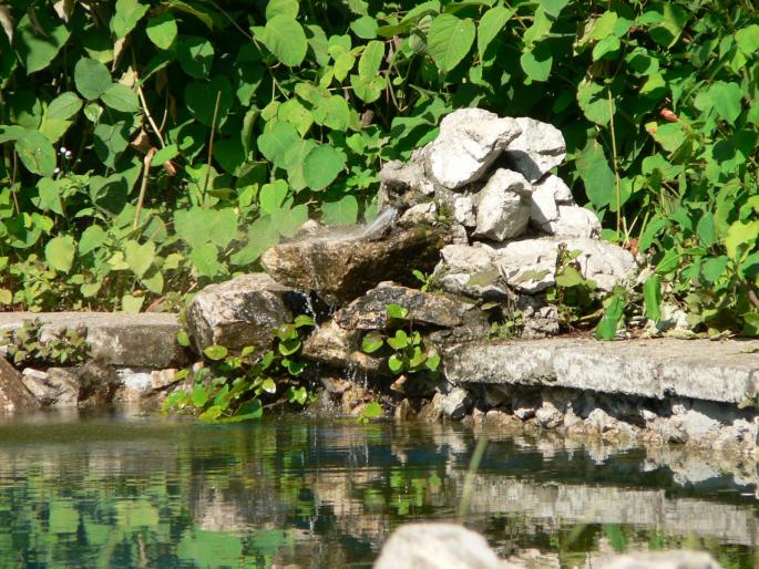 P1000108 - 2007 in plimbare prin herastrau