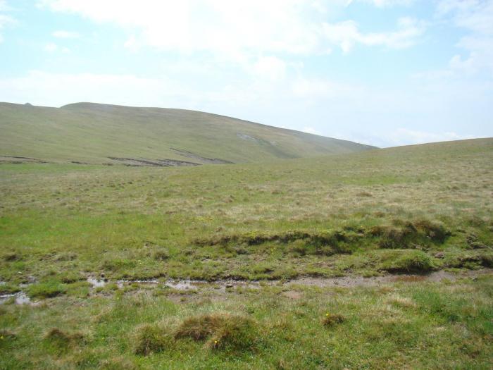 DSC01919 - Concediu 2008