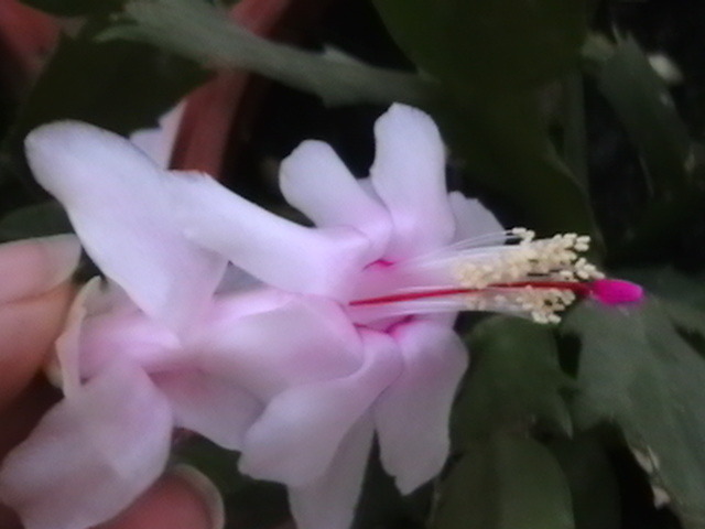 Picture 011