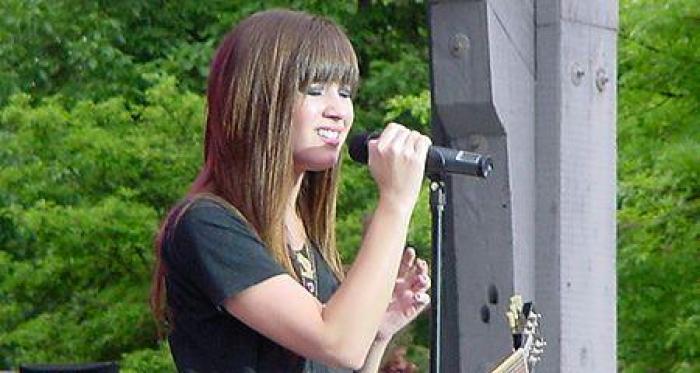 1335447[1] - poze din camp rock