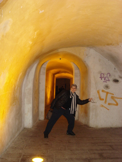 DSC06322 - 2010 REVELION SIBIU