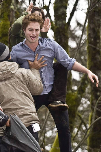 Twilight392la11rge[1]