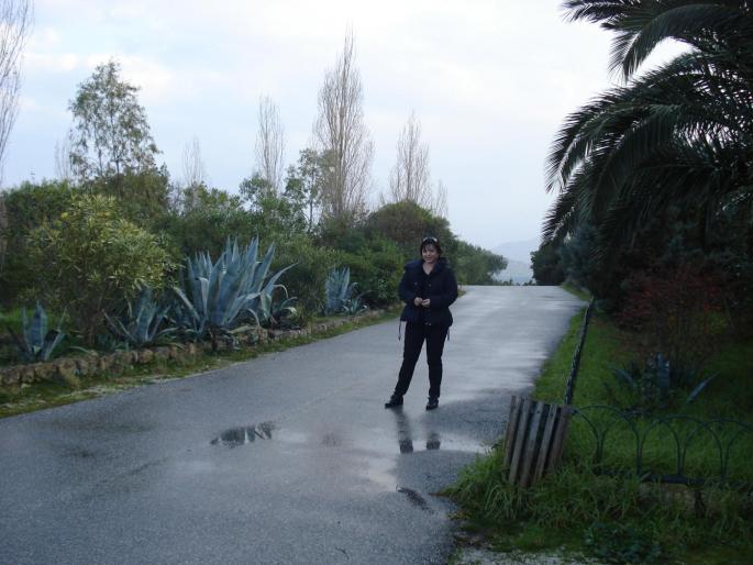 DSC07915 - 2008 REVELION CORFU