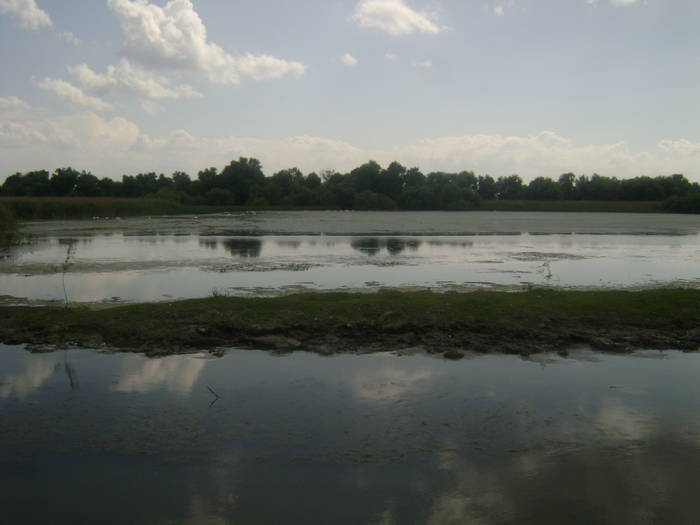 excursie delta dunarii 5062009 102 - EXCURSIE  in DELTA