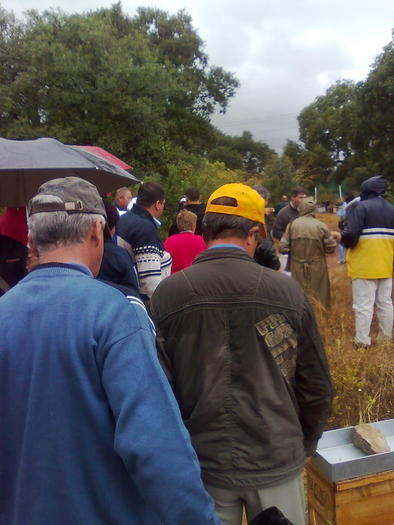 bisericute pe sectiuni - ApiMondia