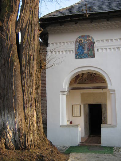 IMG_3582 - La Manastirea Cotmeana