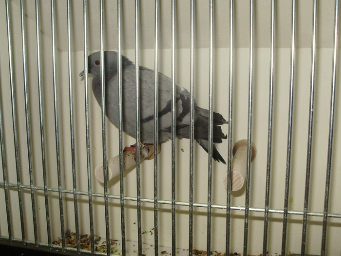 P8161932